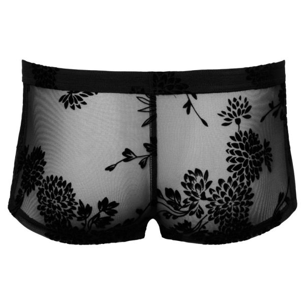 Noir Sheer Floral Lace Pants - Image 4