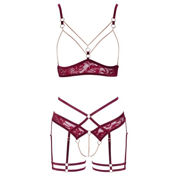 Abierta Fina Open Red Lace Set - Image 4