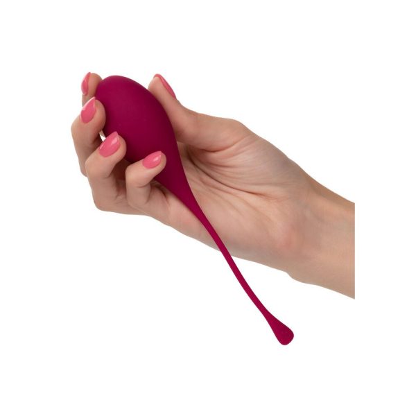 Tighten And Tone Kegel Training 5 Piece Set - Image 4