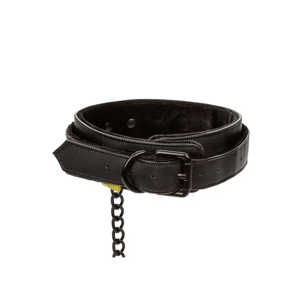 Boundless Collar and Leash - Image 2