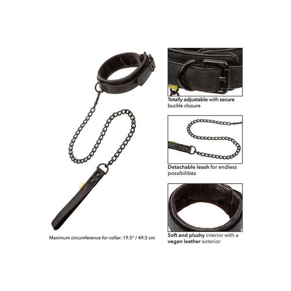 Boundless Collar and Leash - Image 4