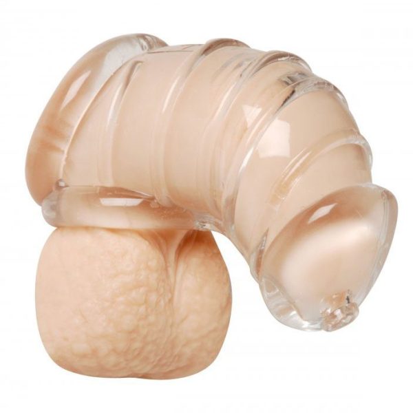 Detained Soft Body Chastity Cage - Image 2